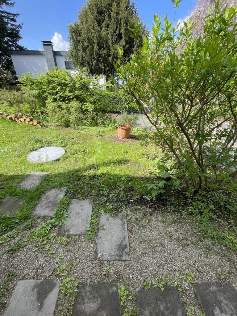 img 7017 (1)